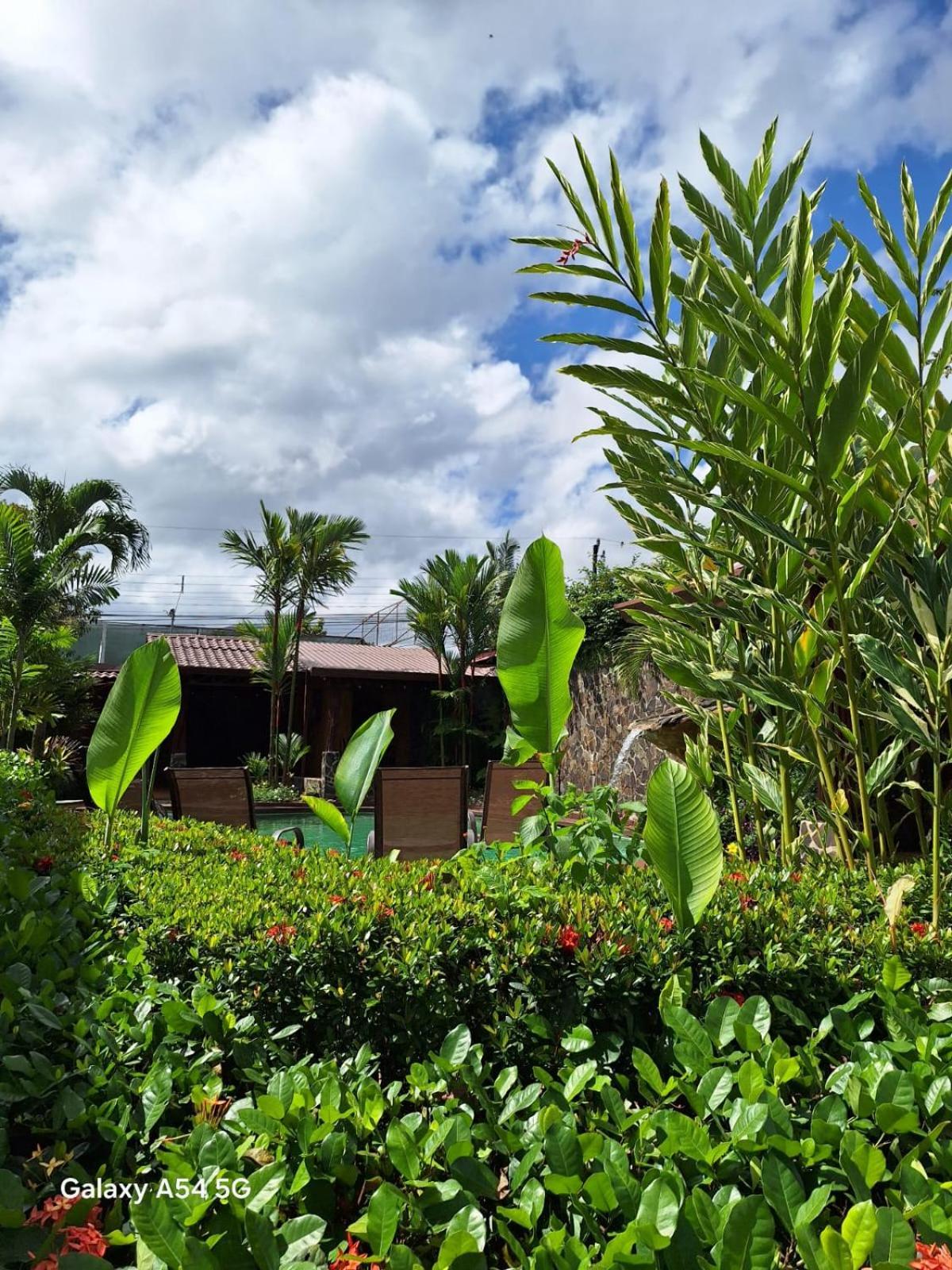 Hotel Iris Arenal La Fortuna Esterno foto